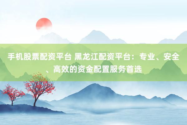 手机股票配资平台 黑龙江配资平台：专业、安全、高效的资金配置服务首选
