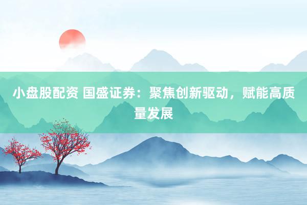 小盘股配资 国盛证券：聚焦创新驱动，赋能高质量发展