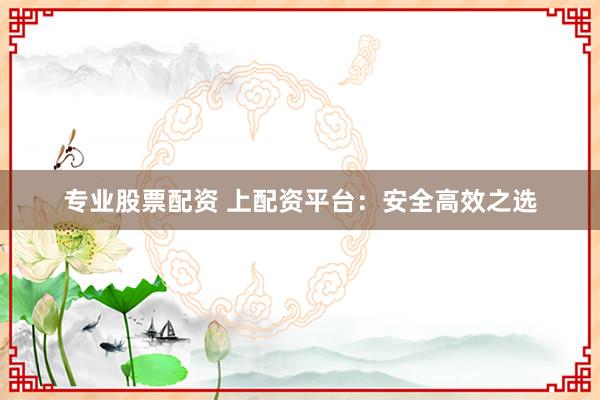 专业股票配资 上配资平台：安全高效之选