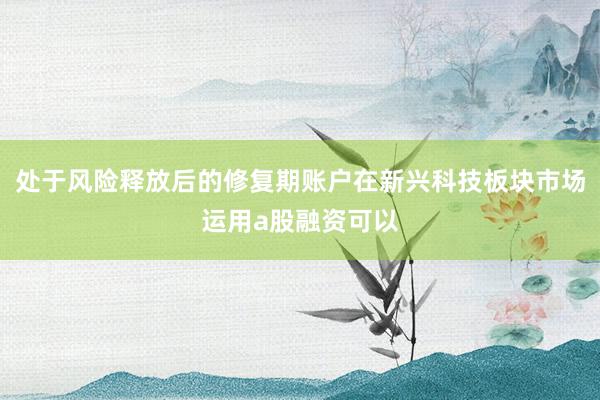 处于风险释放后的修复期账户在新兴科技板块市场运用a股融资可以