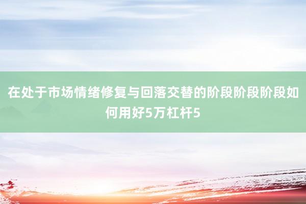 在处于市场情绪修复与回落交替的阶段阶段阶段如何用好5万杠杆5