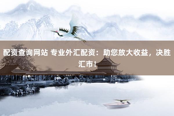 配资查询网站 专业外汇配资：助您放大收益，决胜汇市！