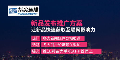 海南网站建设 互联网推广的营销目的